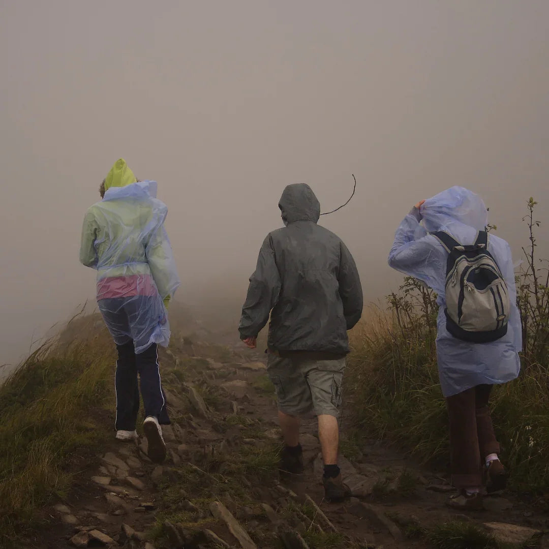 Randonner en sécurité : météo, orientation, faune sauvage… ce qu’il faut savoir avant de partir