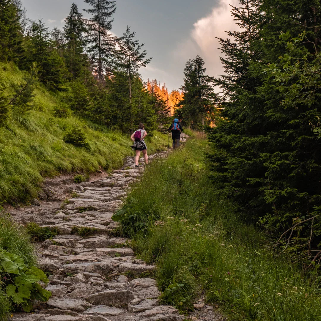 Comment courir en montée (et descendre sans se blesser) – les clés techniques du trail