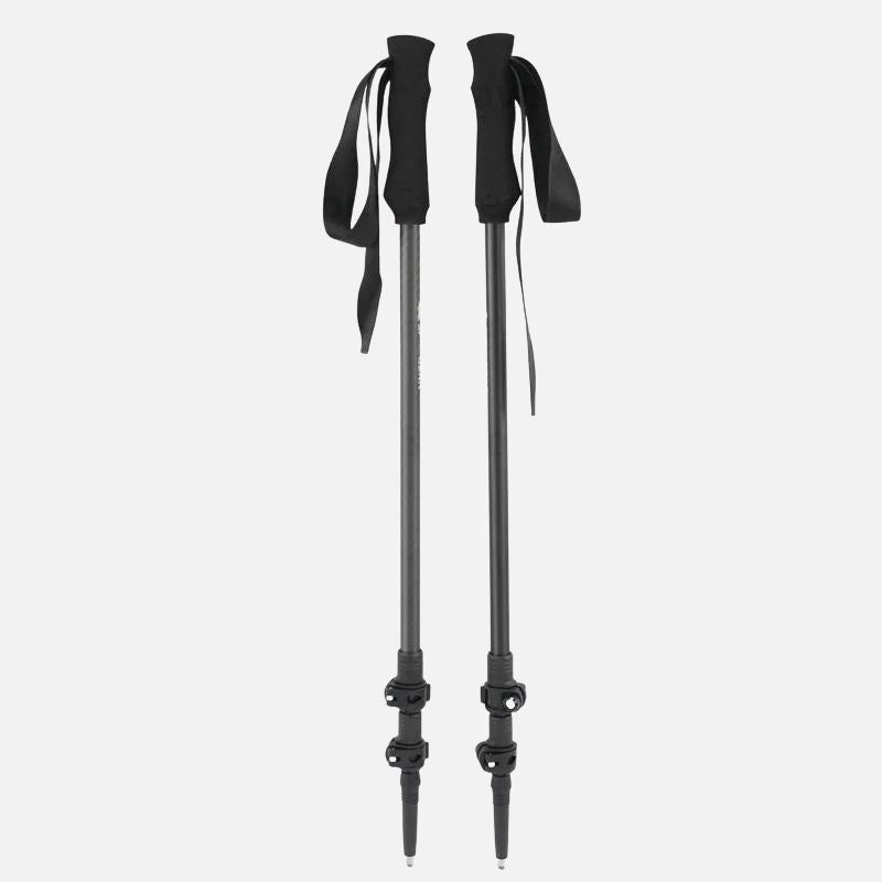 Bâtons de randonnée CarbonFlex Pro
