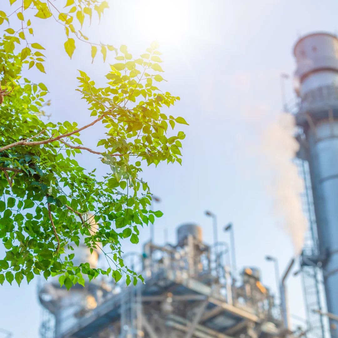 Réduire notre empreinte, préserver nos sommets : l’engagement carbone de VANTURA