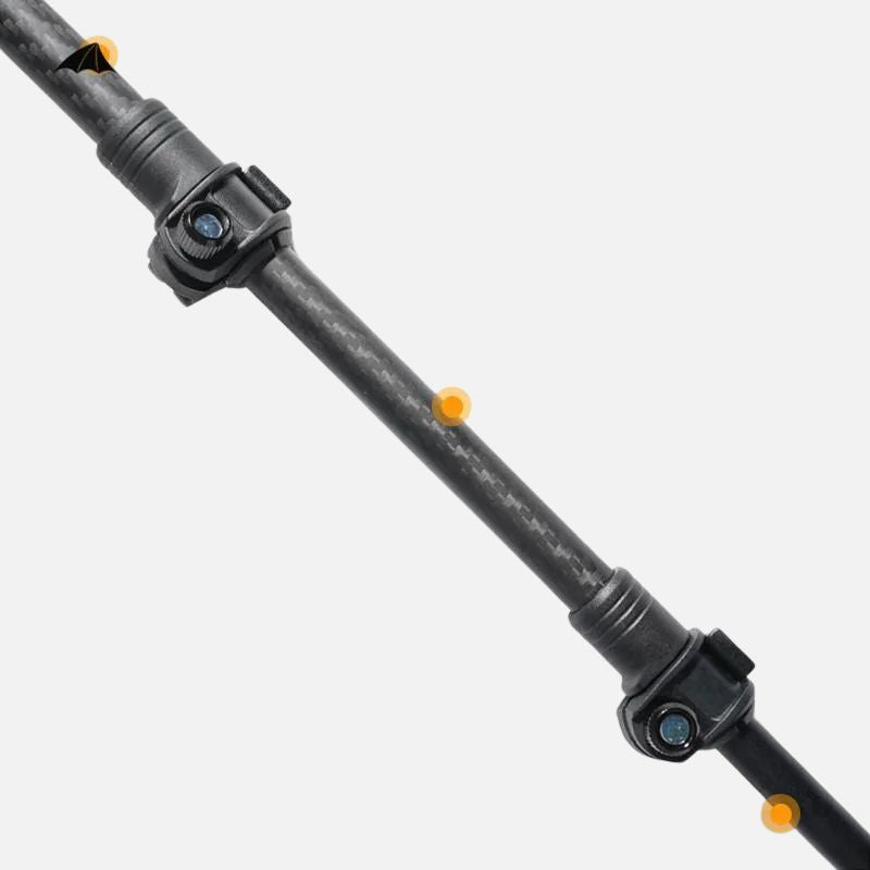 Bâtons de randonnée CarbonFlex Pro