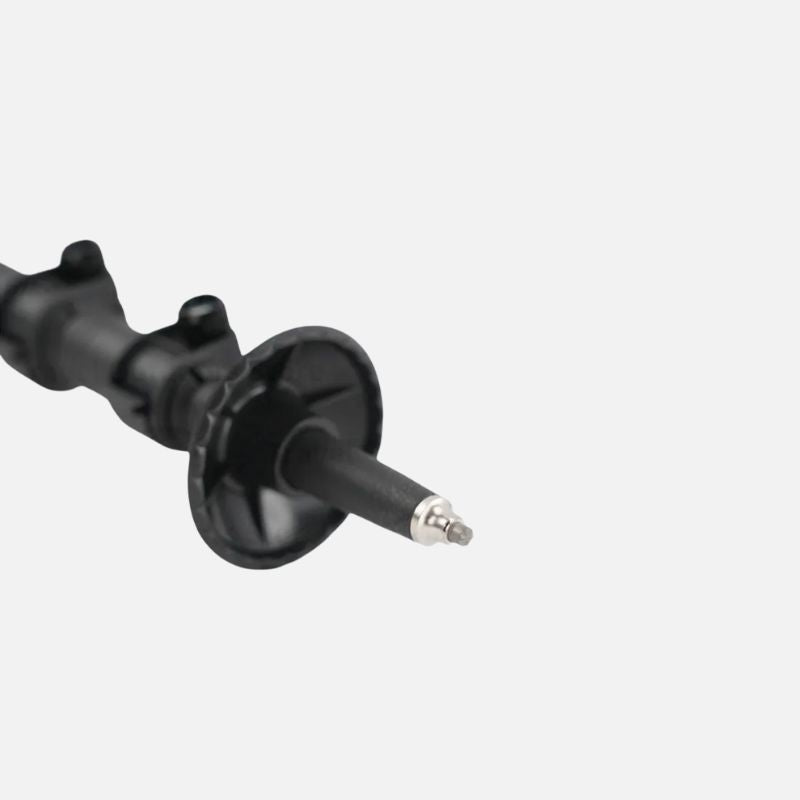 Bâtons de randonnée CarbonFlex Pro