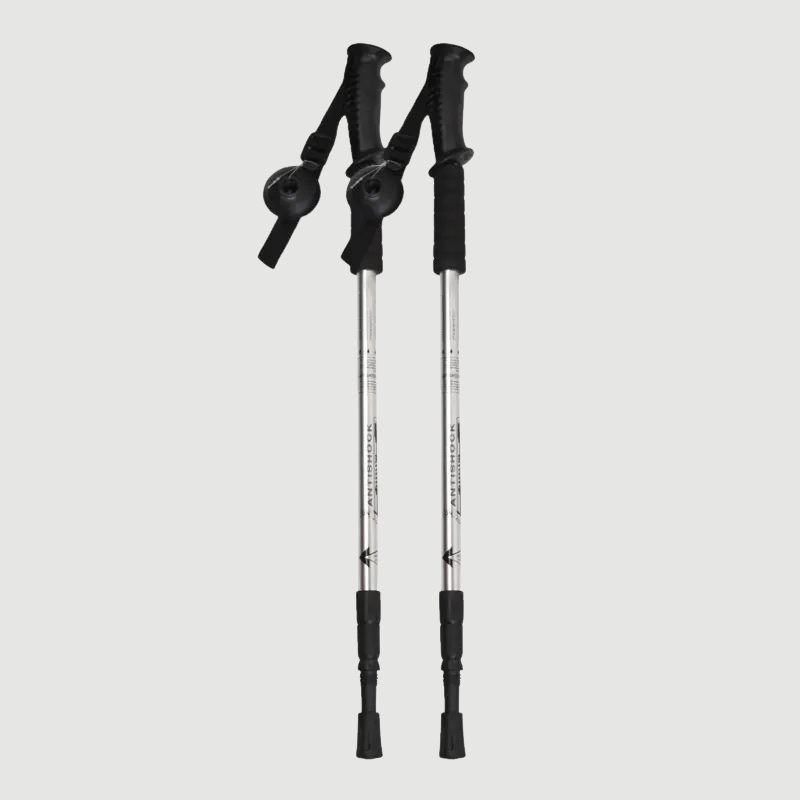 Bâtons de randonnée MountainPro 135